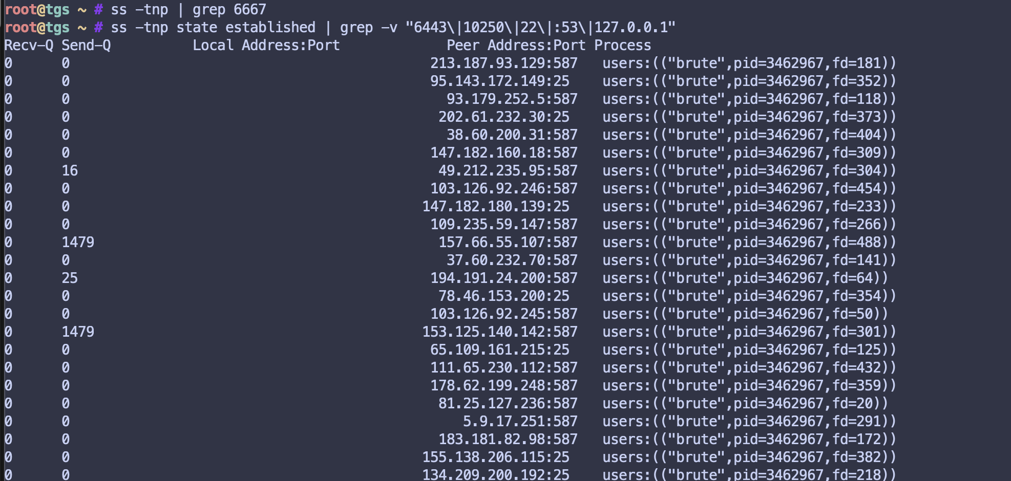 hat-2-brute-connections