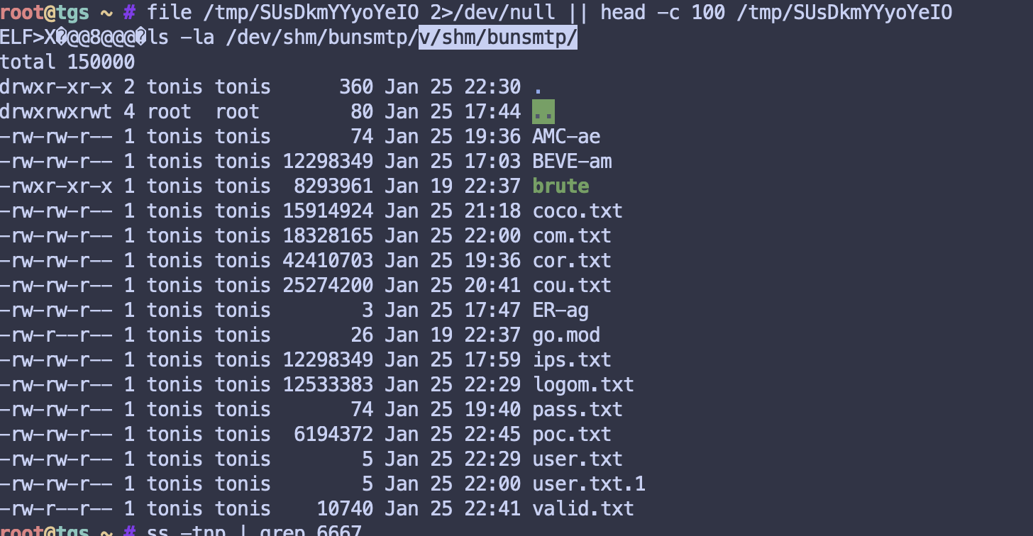 hat-3-brute-files